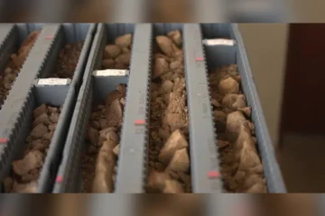 Australianas miram terras raras MG em negócios de R$ 4 bi