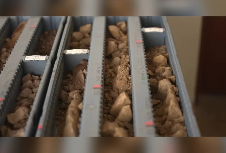 Australianas miram terras raras MG em negócios de R$ 4 bi