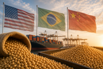 China compra soja dos EUA: quase 1 milhão de toneladas