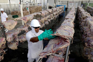 Sobretaxa carne brasileira China: cota atingida e tarifa de 55%