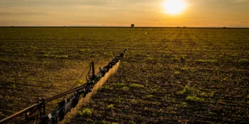 Seguro rural: novas regras ampliam cobertura ao produtor