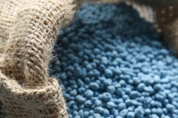 Fertilizantes recuam e acendem alerta para safra 2026