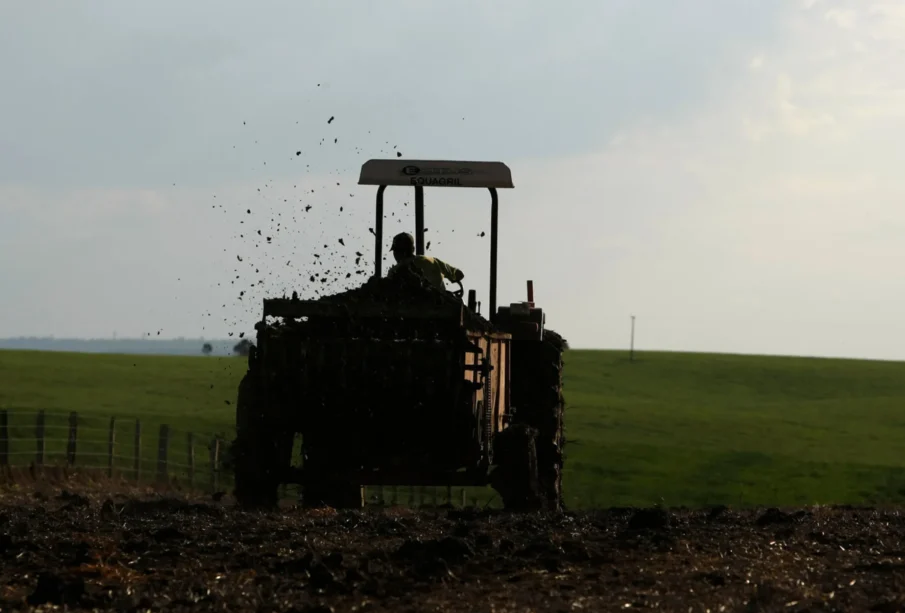 Produtores do Paraná reduzem fertilizantes e efeito pode chegar ao consumidor