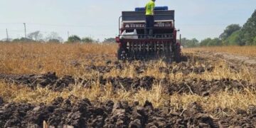 Plantio de arroz paralisado por falta de combustível
