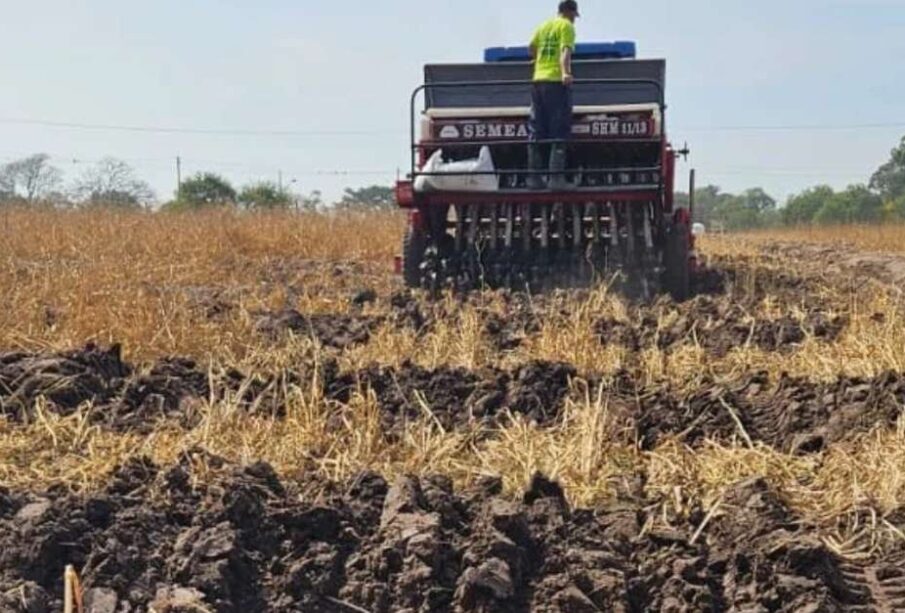 Plantio de arroz paralisado por falta de combustível