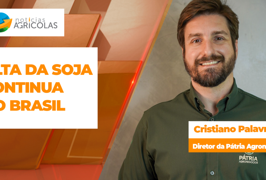 Preços da soja sobem no Brasil apesar de correções