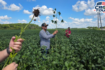 Crop Tour soja: clima divide perspectivas em Ohio