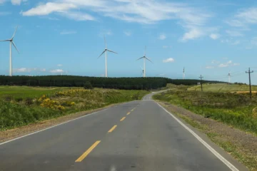 Energia eólica Palmas busca expansão após 27 anos