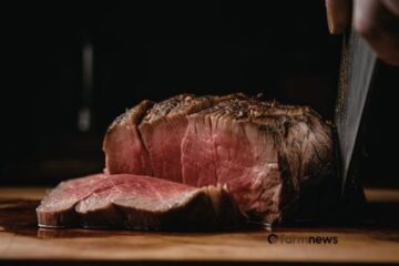 Preço carne bovina sobe em todos os setores