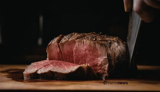 Preço carne bovina sobe em todos os setores