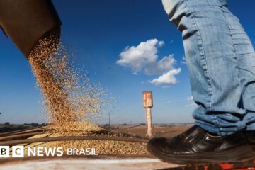 Lula economia 4º mandato: desafios e propostas