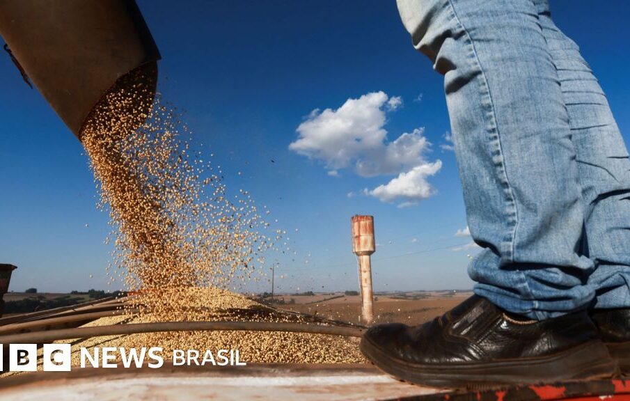 Lula economia 4º mandato: desafios e propostas
