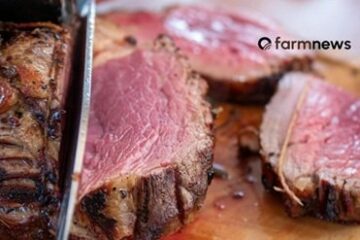 Preço da carne bovina sobe na parcial de outubro
