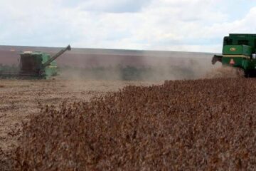 Brasil maior superpotência agrícola: virada global