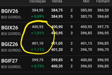 Boi gordo supera R$ 400 na B3 e renova máximas