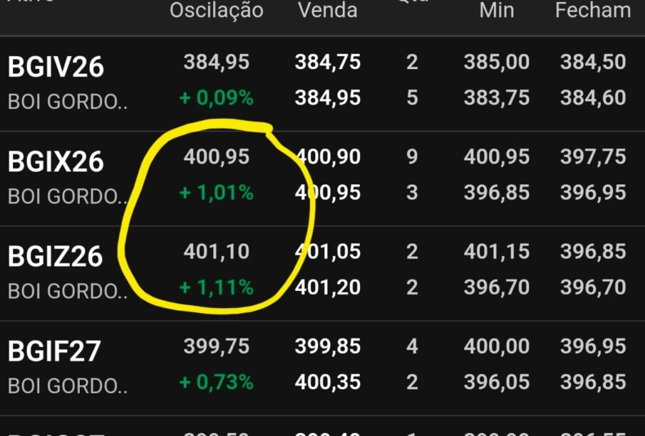 Boi gordo supera R$ 400 na B3 e renova máximas